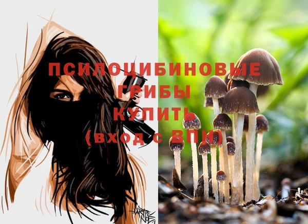 стафф Армянск