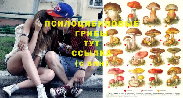 стафф Армянск