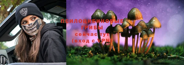 стафф Армянск