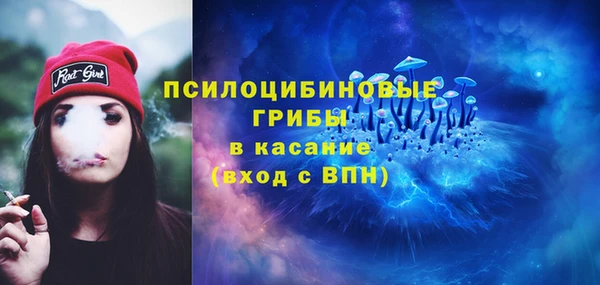сатива Баксан