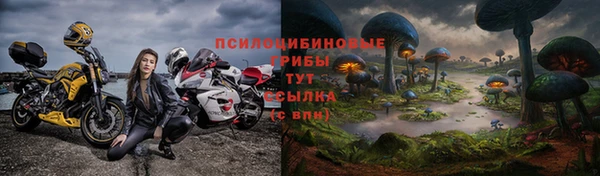 сатива Баксан